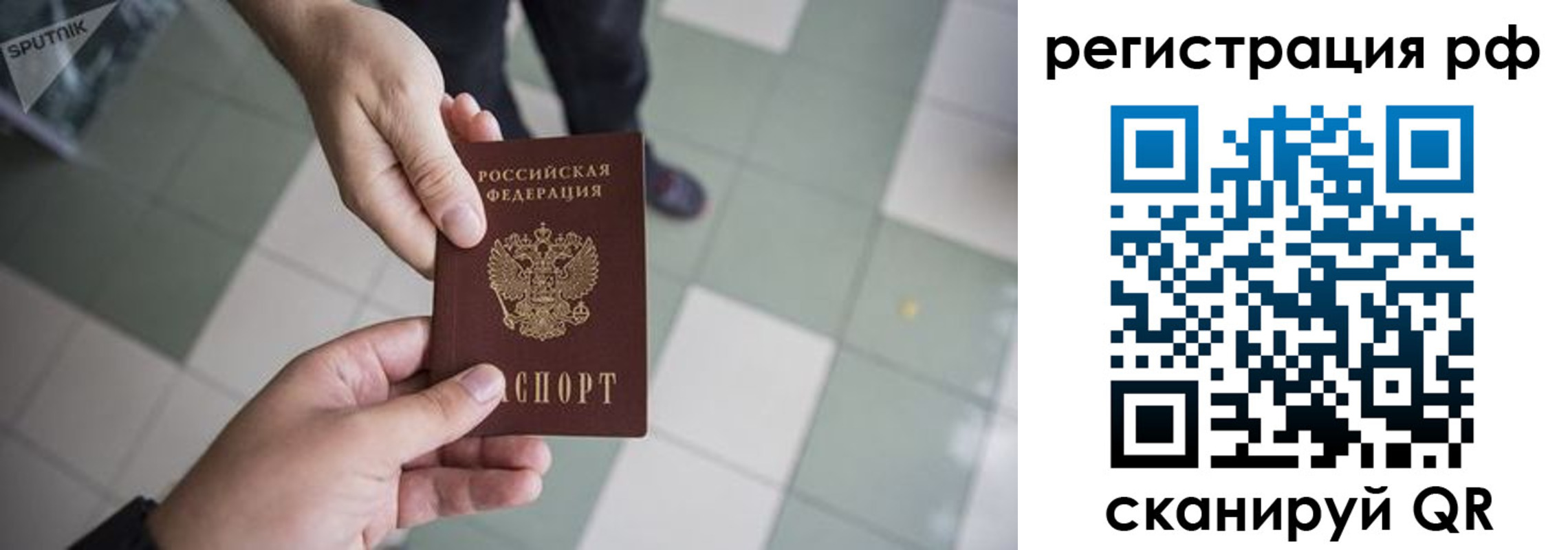 прописка гарантия в Балее